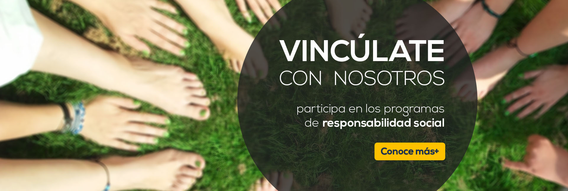 vinculate