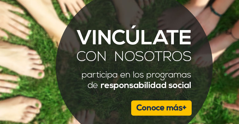 vinculate